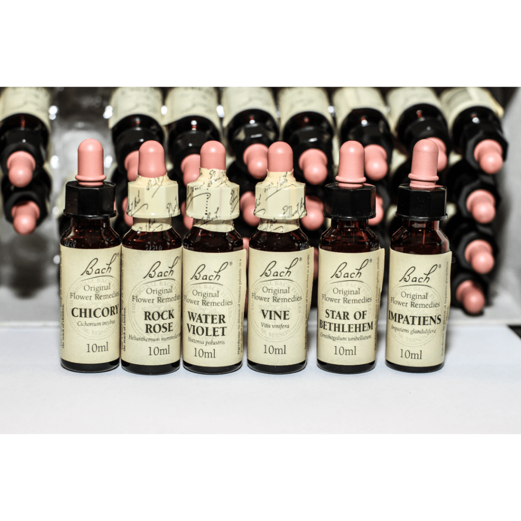 Il Potere Curativo dei Fiori di Bach: Guida&nbsp;Completa