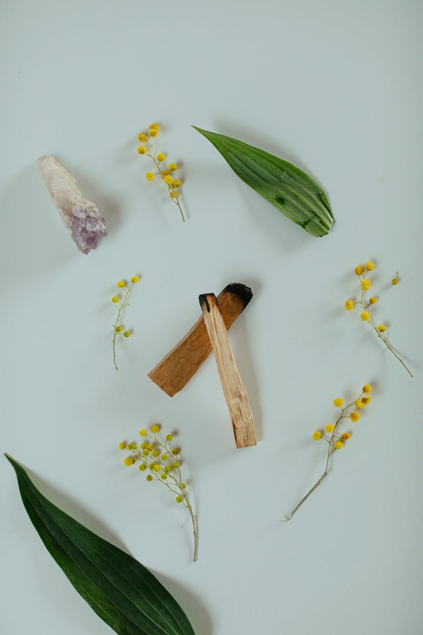 Palo Santo: Il Potente Alleato della Naturopatia per il Benessere Olistico
